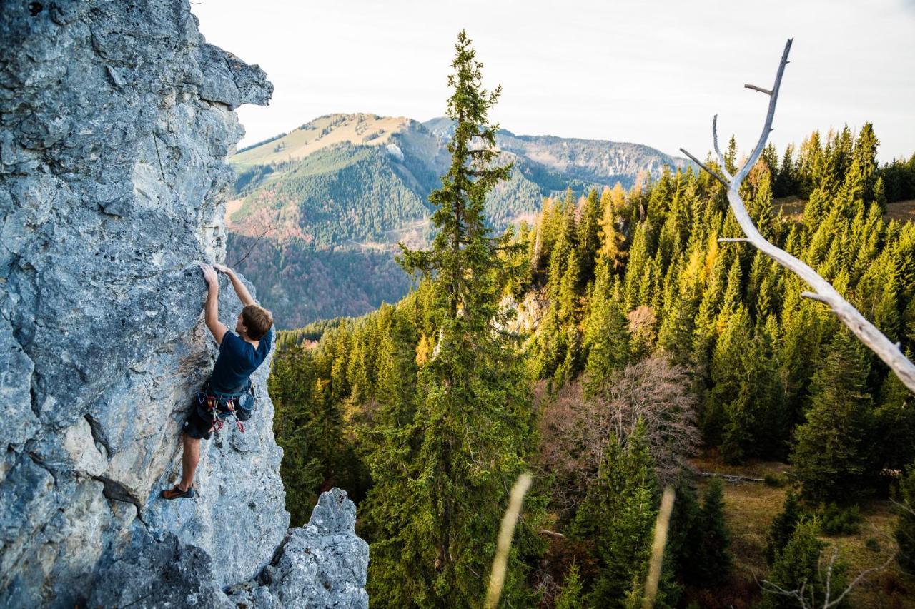 Pension Bergblick Ruhpolding Dış mekan fotoğraf